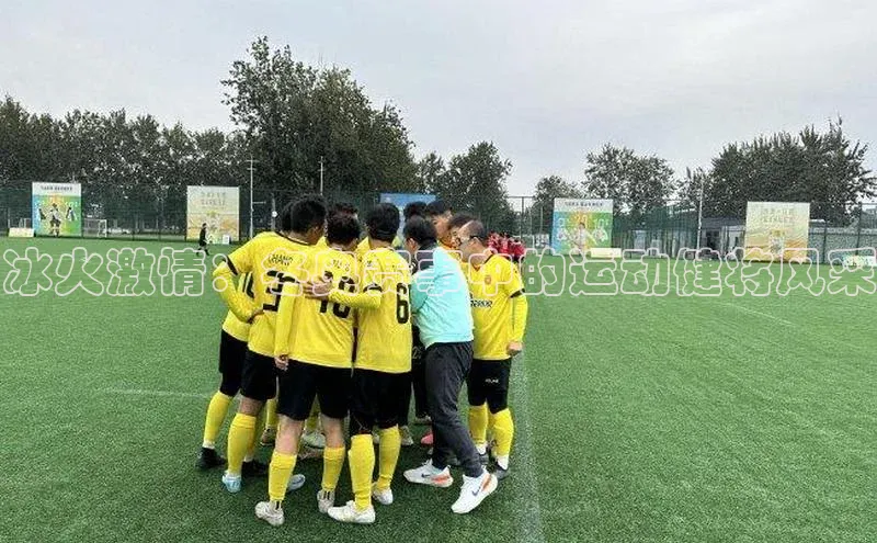 熊猫体育手机版下载金山办公