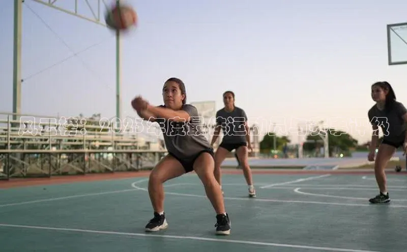 风云榜：2023年度最佳运动员与赛事评级