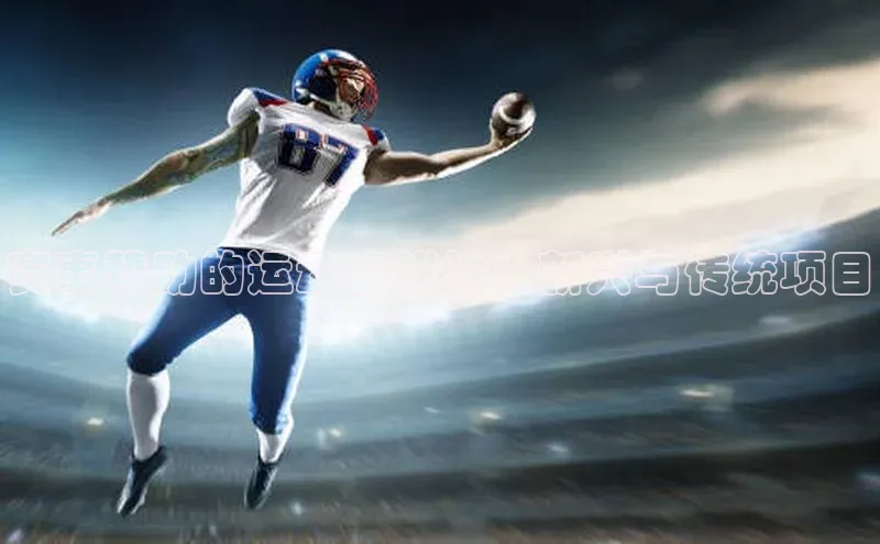 赛事赞助的运动多样性：新兴与传统项目