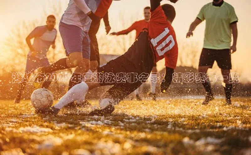 潍坊市2023年度游泳赛事名录：精彩赛事一览