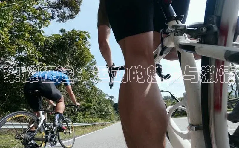 荣耀征途：运动的魅力与激情