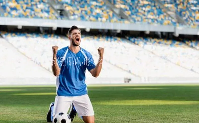 大型运动会的场地与设施维护费用管理策略探讨