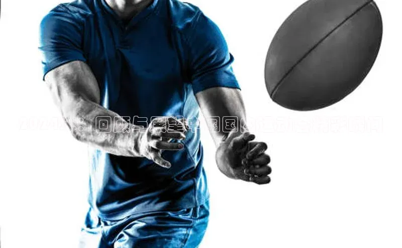 2024年：回顾与展望中国国内运动会精彩瞬间