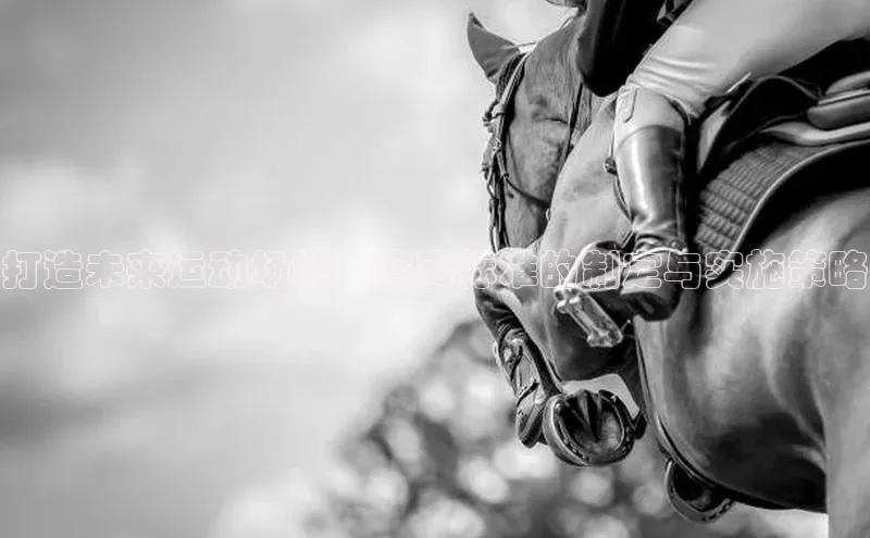 打造未来运动场地：赛事标准的制定与实施策略