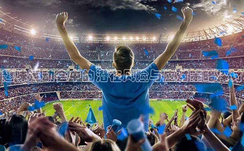 趣味运动会中的潜在风险与应对策略探讨