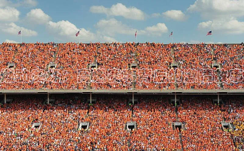 熊猫体育在线直播app