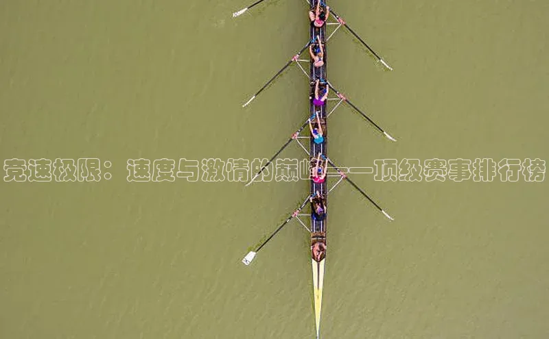 熊猫体育平台官网