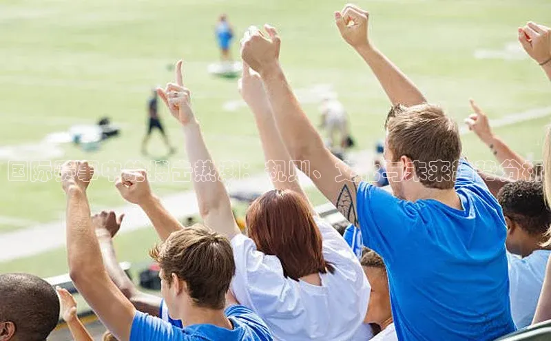 熊猫体育网页版