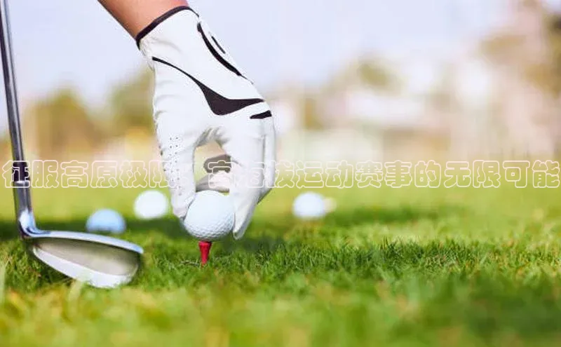 熊猫体育官方网站