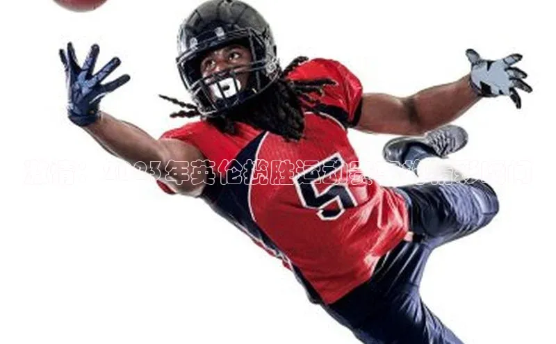 熊猫体育平台官网