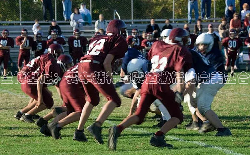 熊猫app官方网站