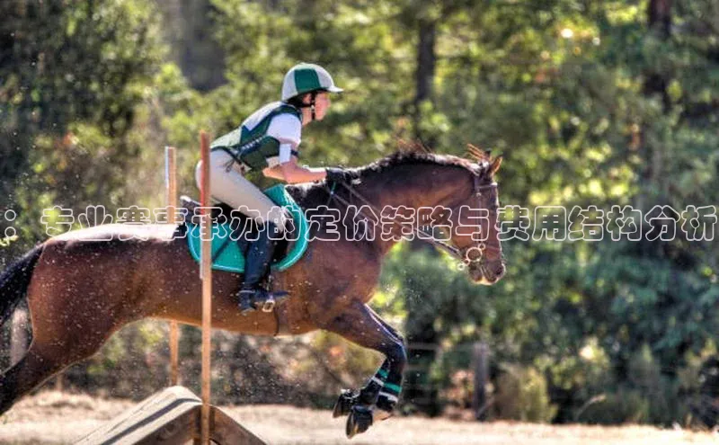 ：专业赛事承办的定价策略与费用结构分析